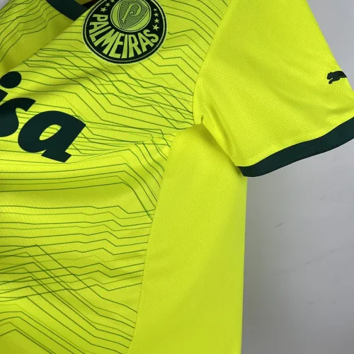 Palmeiras 2023-24 third away game
