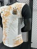 Player Version 2024 Argentina Maradona Special Tribute Jersey(The player version is more slim fit, it is recommended to buy one size larger)