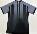 2023-24 Player Argentina Special Edition soccer (The player version is more slim fit, it is recommended to buy one size larger)