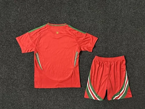 2024 Wales home red kids kit
