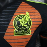 Player Version 2024 Mexico Black Goalkeeper(The player version is more slim fit, it is recommended to buy one size larger)