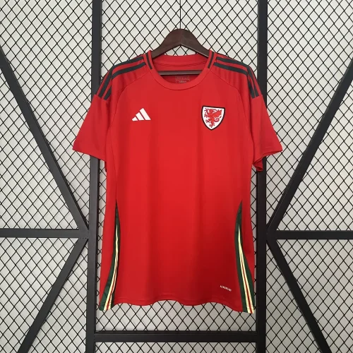 2024 Wales home red soccer jersey
