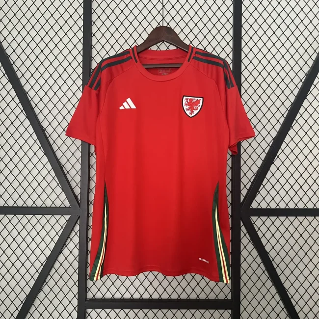 2024 Wales home red soccer jersey
