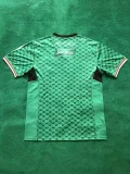 palestino 2024-25 green soccer jerseys