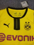 Dortmund 2024-25 cup verison home