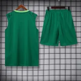 palmeiras 2024 training vest sets