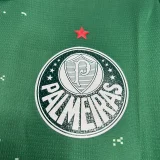 Palmeiras 2024-25 Special Edition White and green Jersey