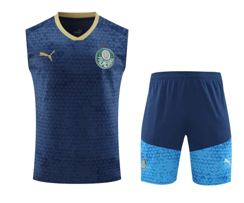 palmeiras 2024 training vest sets