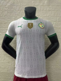 2024-25 Senegal  home player version jersey (The player version is more slim fit, it is recommended to buy one size larger)
