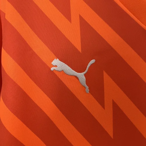 2024-25 Palmeiras Orange goalkeeper jersey
