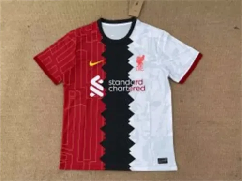 Liverpool 2024-25 colors training shirt