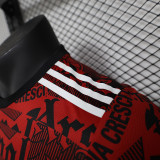 2024-25  Arsenal Red Special Player version jersey (The player version is more slim fit, it is recommended to buy one size larger)