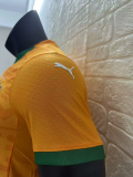 2024-25 lvory Coast  home player version jersey (The player version is more slim fit, it is recommended to buy one size larger)