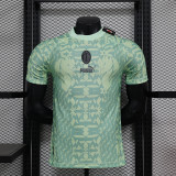 24-25 AC Milan  Green Special player version jersey (The player version is more slim fit, it is recommended to buy one size larger)