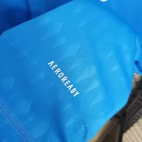Juventus 2023-24 Blue Goalkeeper soccer jerseys