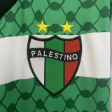 2025-26 Palestino green and white jersey