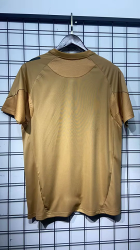 25-26 Colo Colo gold training jersey