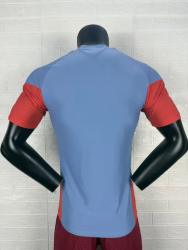 2025 Japan Blue Special Player Version Jersey