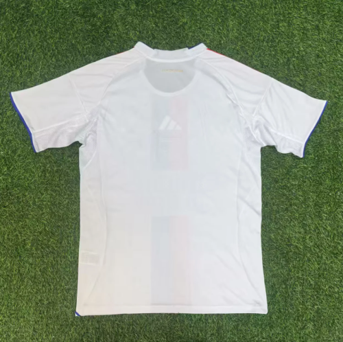 Lyon 2025/26 home soccer jersey size S-4XL