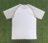 Lyon 202526 Gray and White Shirt size S-2XL