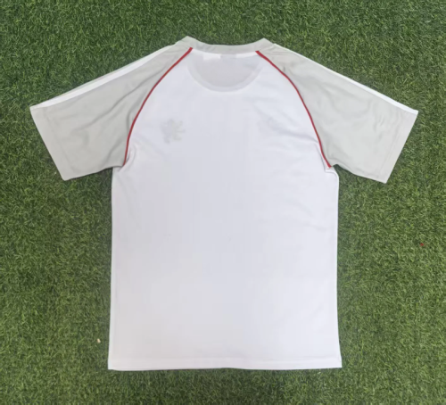 Lyon 202526 Gray and White Shirt size S-2XL