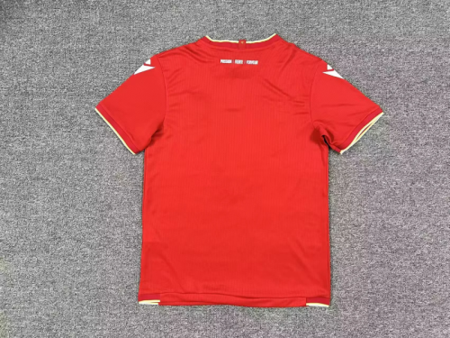 Standard Liege 202526 Home soccer jersey S-2XL