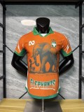 Ivory Coast 2025/06 Orange Special Player Version soccer jersey size S-2XL