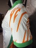 Ivory Coast 2025/06 white Special Player Version soccer jersey size S-2XL