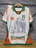 Ivory Coast 2025/06 white Special Player Version soccer jersey size S-2XL