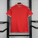 Wales 2026 Home soccer jersey size S-4XL