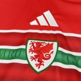 Wales 2026 Home soccer jersey size S-4XL
