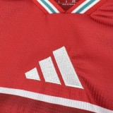 Wales 2026 Home soccer jersey size S-4XL