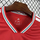 Wales 2026 Home soccer jersey size S-4XL