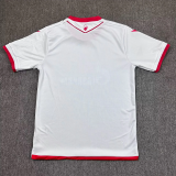 Red Star Belgrade 2025/26 Third Away Soccer Jersey