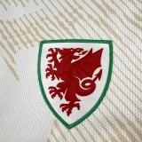 Wales 2026 Away soccer jersey size S-4XL