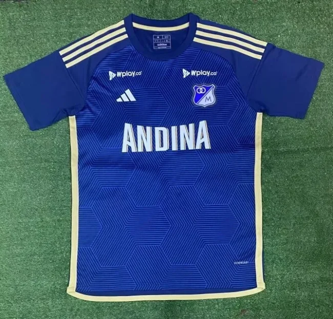 2024-25 Hoffenheim home soccer jersey