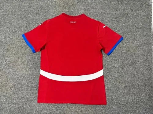 Serbia 2024-25 home