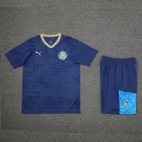 palmeiras 2024 SS training sets