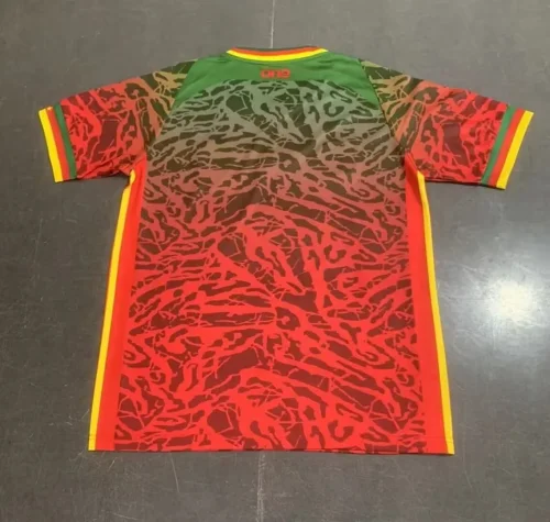 Cameroon 2023-24 red soccer jerseys