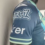puebla 2024-25 away player version  (The player version is more slim fit, it is recommended to buy one size larger)