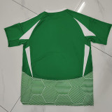 Maccabi Haifa   2024-25 home