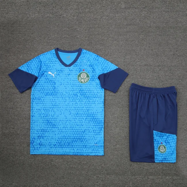 palmeiras 2024 SS training sets