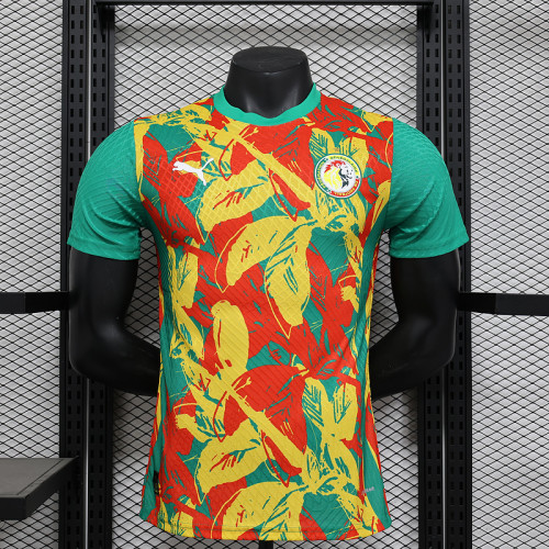 2024-25 Ivory Coast Pre-match Player version jersey (The player version is more slim fit, it is recommended to buy one size larger)