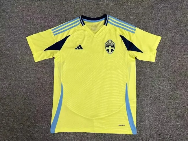 Sweden 2024-25 home