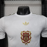 25-26 Bayern 125th player version jersey