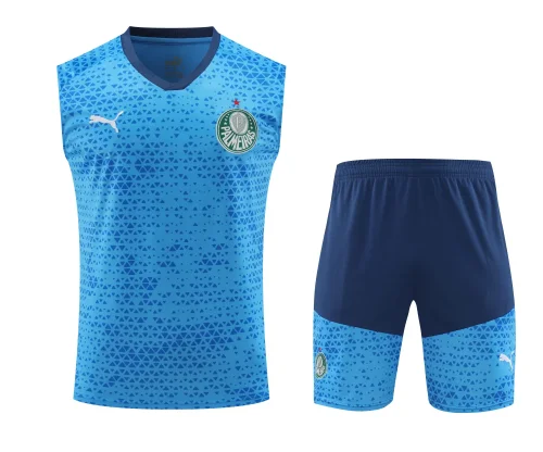 palmeiras 2024 training vest sets
