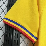 2024 Romania home soccer jersey