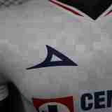 2025-26 Cruz Azul Away player version jersey  (The player version is more slim fit, it is recommended to buy one size larger)