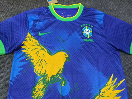 2025-26 Brazil blue special jersey