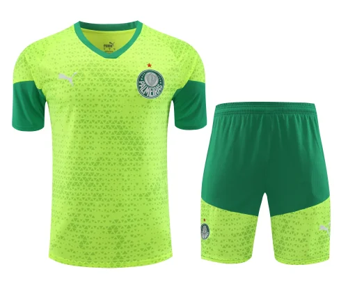 palmeiras 2024 SS training sets